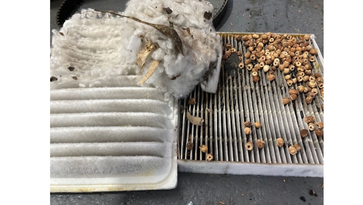 cabin air filter rats nest